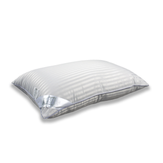 Подушка AlViTek (АльВиТек) коллекция SILKY DREAM 50x68 см. арт. ПМСВ-050-ЖС